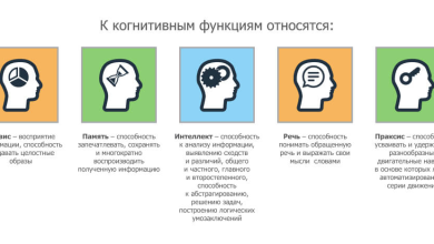 Photo of Как развить умственные способности?
