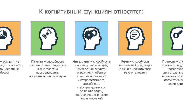 Photo of Как развить умственные способности?