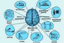 Photo of Умственная гимнастика для мозга