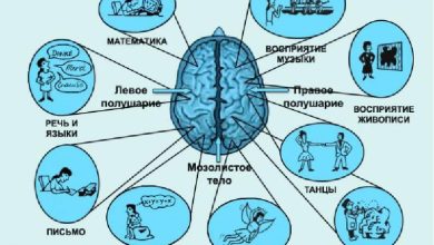 Photo of Умственная гимнастика для мозга