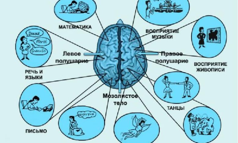 Photo of Умственная гимнастика для мозга