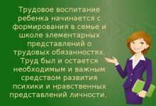 Photo of Профессиональная ориентация и трудовое воспитание