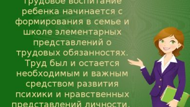 Photo of Профессиональная ориентация и трудовое воспитание