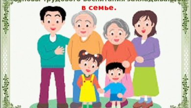 Photo of Трудовое воспитание в школе и семье