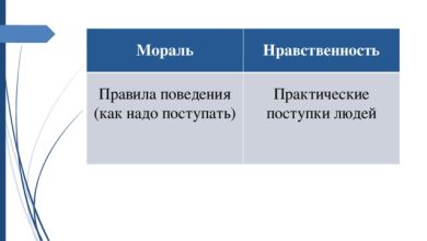 Photo of Поступки и последствия: уроки морали