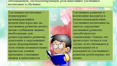 Photo of Умственное воспитание и саморазвитие